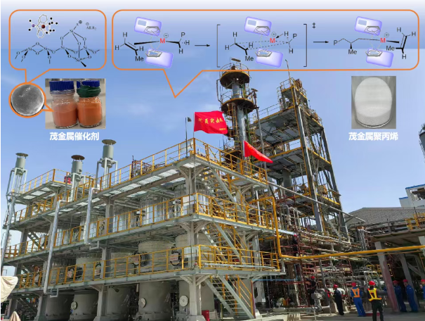 1770625660725392.png image.png